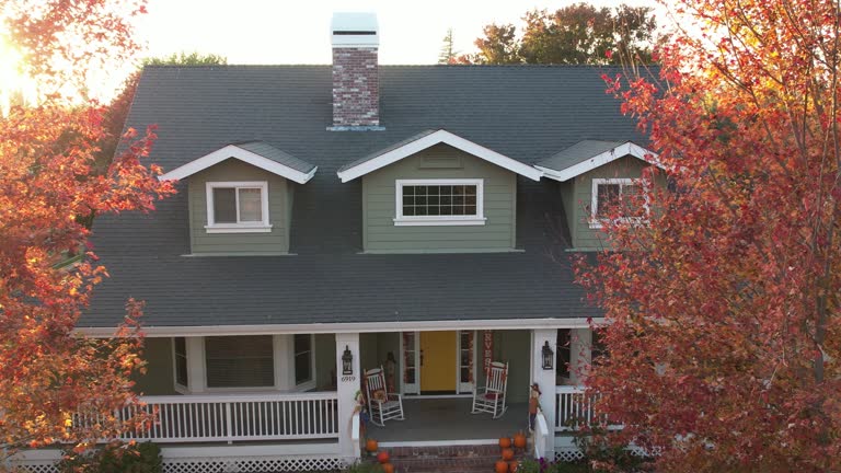 Best Steel Roofing  in Monroeville, OH